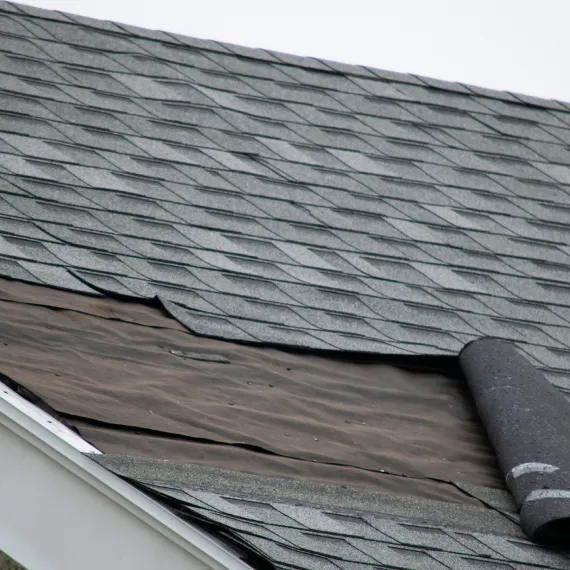 Roof Repair Services